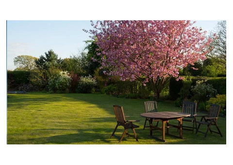 Upgrade Your Garden Aesthetics with Quality Landscaping Service - 1/3