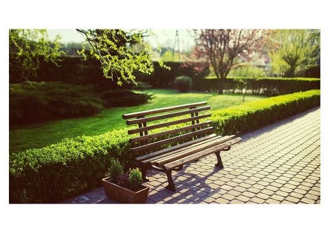 Upgrade Your Garden Aesthetics with Quality Landscaping Service - 3/3