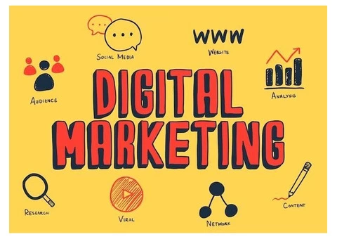 Trailblazing Apps: Strategies and Trends in Mobile Marketing Services
