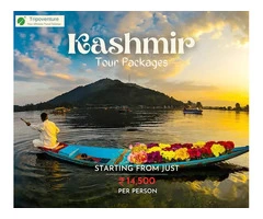 Celebrate Bliss in the Valley: Unveil the Best Kashmir Tour Packages with Tripoventure