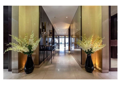 Capturing Elegance: Interior Photography in London