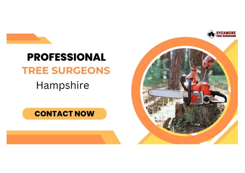 Professional Tree Surgeons in Hampshire