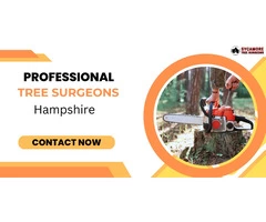 Professional Tree Surgeons in Hampshire