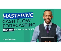 Real-time Cash Flow Analysis Tool - Moolamore