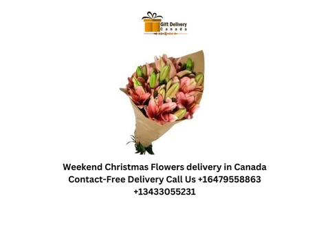 Free Shipping Christmas Gifts Basket delivery in Canada | Same-Day - 1/4