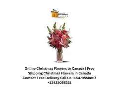 Order Christmas Cakes Delivery in Canada | Send Christmas Cake to Canada