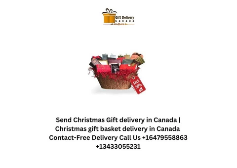 Send Christmas Gift delivery in Canada | Christmas gift basket delivery in Canada - 4/4