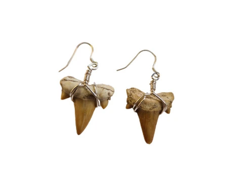 Timeless Elegance: Fossil Earrings for Every Occasion - 2/2