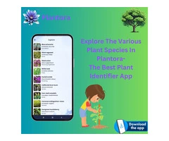 Explore The Plant Species In Plantora- The Best Plant Identifier App