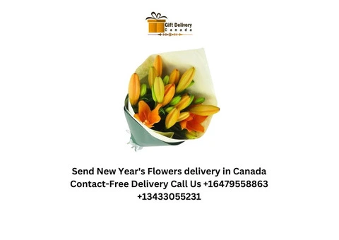Order Online New Year's Combo Delivery in Canada - 1/4