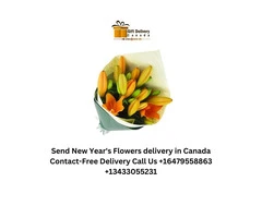 Order Online New Year's Combo Delivery in Canada