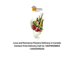Love and Romance Cakes Delivery in Canada