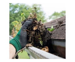 Plymouth's Premier Gutter Cleaning Service - Protect Your Home!
