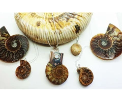 Fossil Ammonite Necklaces