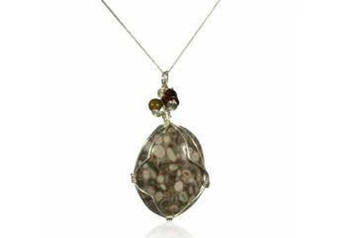 Why One Attracts To Fossil Jewelry?