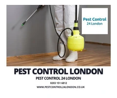 Achieving Effective Pest Control in London