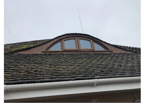 The Window Workshop - 5/18