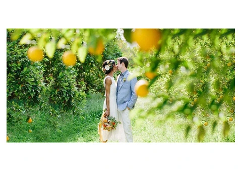 Lemon Themed Wedding On The Amalfi Coast