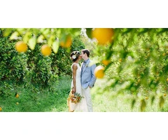 Lemon Themed Wedding On The Amalfi Coast