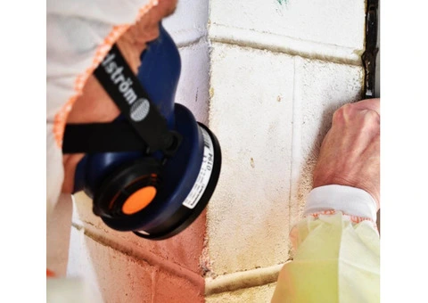 EAS UK Asbestos – Unmatched Asbestos Removal Services in Bury St Edmunds! - 2/2