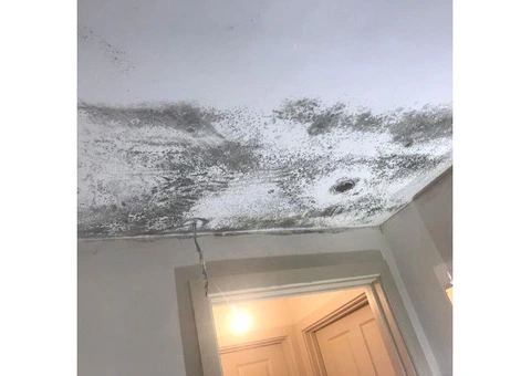 Defend Your Home: Southampton's Damp-Proofing Heroes at JP Plastering + Damp Solutions Ltd! - 3/4