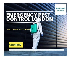 Emergency Pest Control London Provides Rapid Response