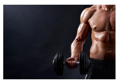 The Ultimate Fitness Trainer Course Bundle: Transform Your Passion into a Successful Career