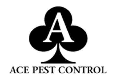 Your Trusted Partner for Pest-Free Living in Hertfordshire