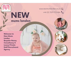 Professional & VIP Nanny agency London Services