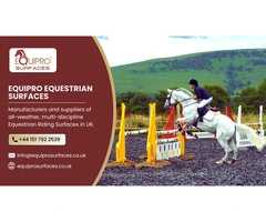 Equiprosurfaces: Picking the Right Equestrian Menage Surfaces