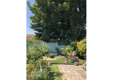 White Cliff Gardens - 16/16