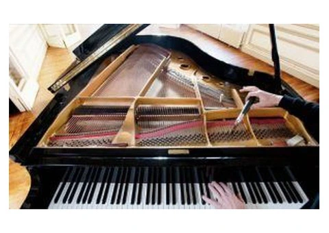 Transform Ordinary Notes into Extraordinary Melodies – Farnborough's Premier Piano Tuner - 3/3