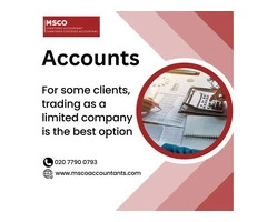 Strategic Balance Sheets: Elevating Business Accounting Services