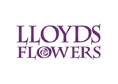 Lloyds Flowers
