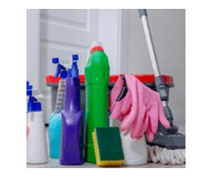 Private cleaner