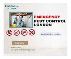 Rapid Relief: Pest Control 24 London provides emergency pest control in London.