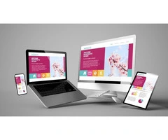 Sprout Media: Connect with the best web design in Essex