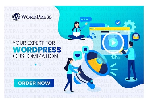 expert for wordpress customization