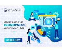 expert for wordpress customization