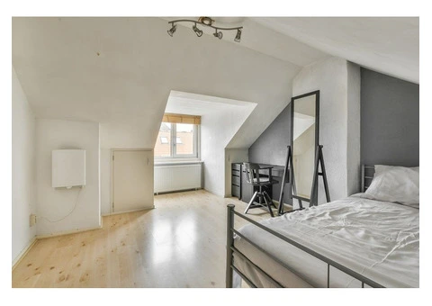 Discover Affordable Velux Loft Conversion Costs - 1/4