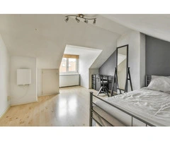 Discover Affordable Velux Loft Conversion Costs