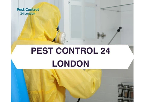 Your Go-To Team for Efficient Pest Control Solutions