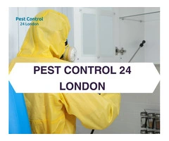 Your Go-To Team for Efficient Pest Control Solutions