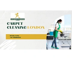 Call Our Team to Get Your Carpet Cleaned Professionally