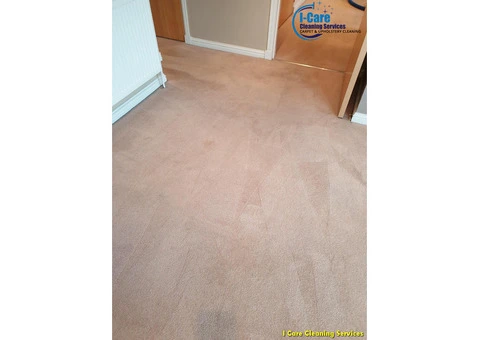 Carpet Cleaning Services Hamilton| Call Now@7495027182