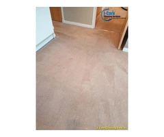 Carpet Cleaning Services Hamilton| Call Now@7495027182