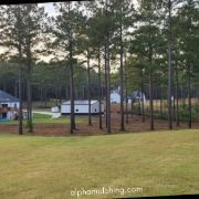 Alpha Mulching