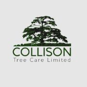 Dan Collison