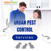 Urban Issues