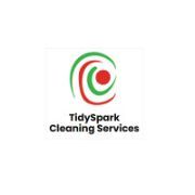 tidysparkcleaning